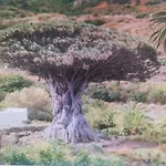 Tradicional Casa Canaria Con Piscina Y Vistas Al Teide Сasa de vacaciones Icod De Los Vinos